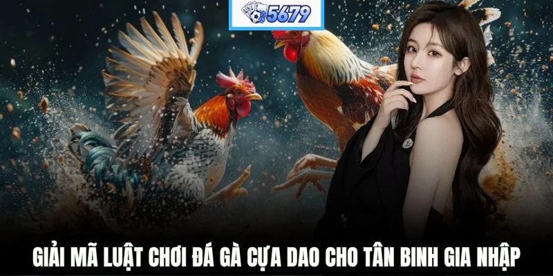 Giải mã luật chơi đá gà cựa dao cho tân binh gia nhập